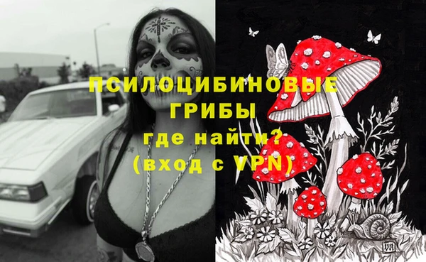 ПСИЛОЦИБИНОВЫЕ ГРИБЫ Аркадак