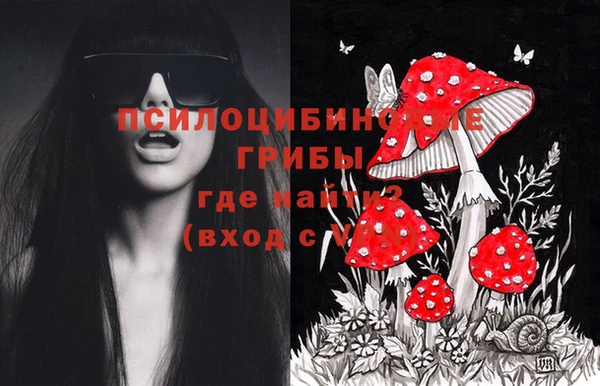 прущая мука Армянск